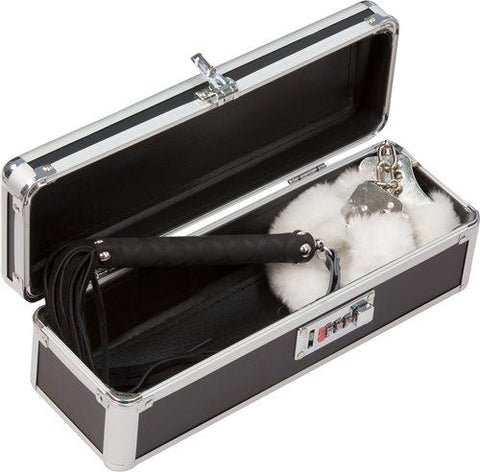 Lockable Toy Case