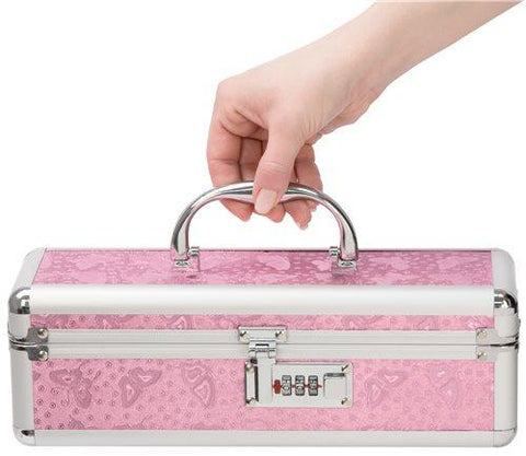 Lockable Toy Case