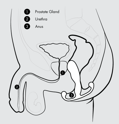 Aneros Vice 2 Prostate Stimulator - Slightly Legal Toys - Aneros Vice 2 Prostate Stimulator Anal Vibrators - Vibrating, silicone High Island Health-aneros